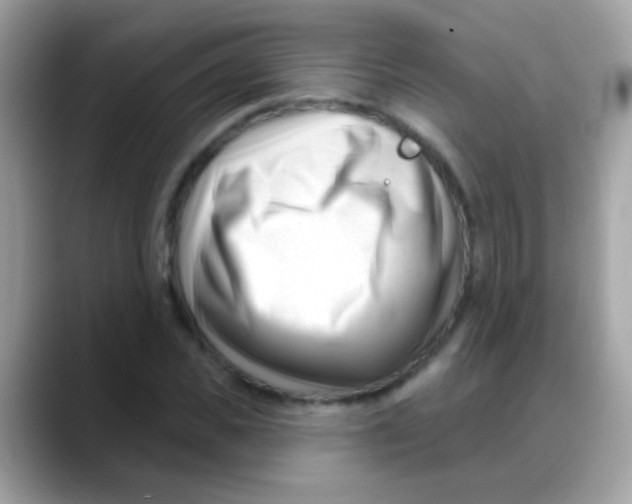 X0000088040925200706011321