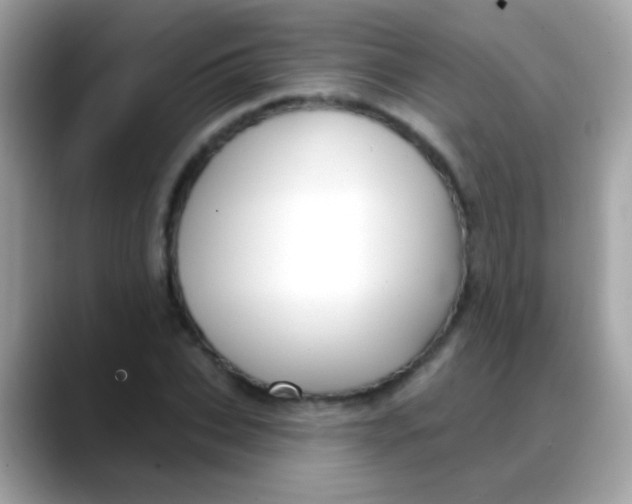 X0000088040927200706011321