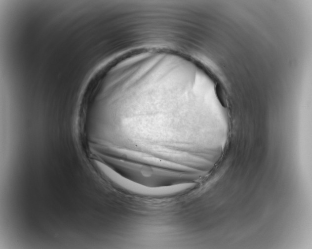 X0000088040928200706011321