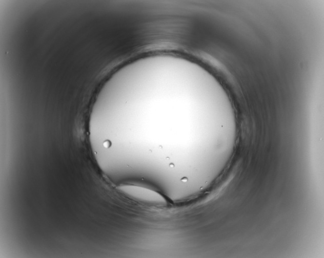 X0000088040929200706011321