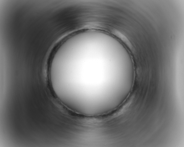 X0000088040931200706011321