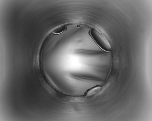 X0000088040932200706011321