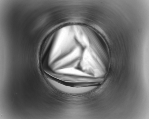 X0000088040935200706011321