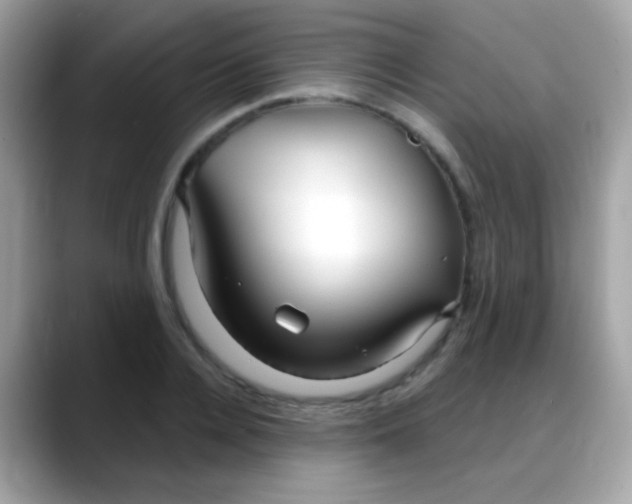 X0000088040936200706011321