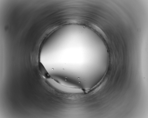 X0000088040938200706011321