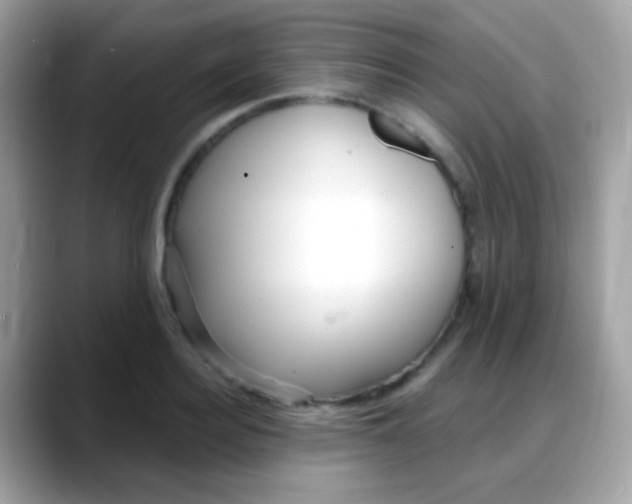 X0000088040940200706011321