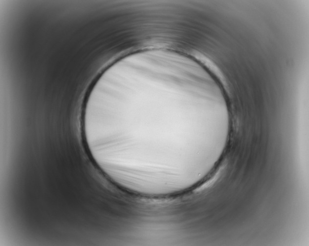 X0000088040941200706011321