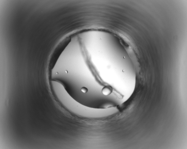 X0000088040942200706011321