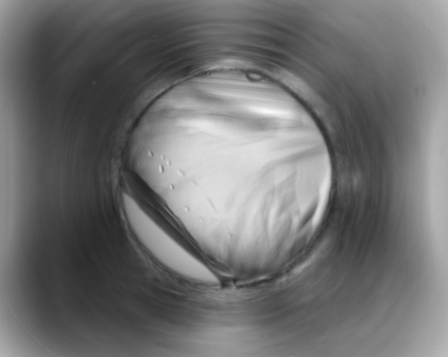 X0000088040945200706011321