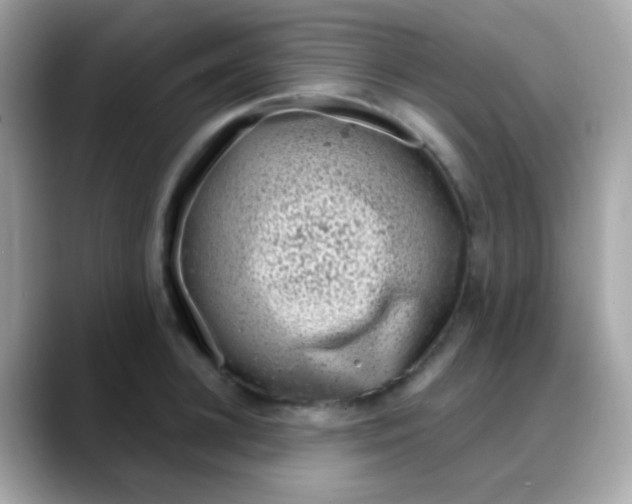 X0000088040948200706011321