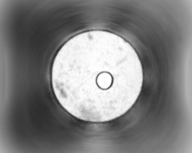 X0000088040950200706011321