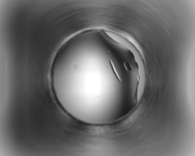 X0000088040951200706011321