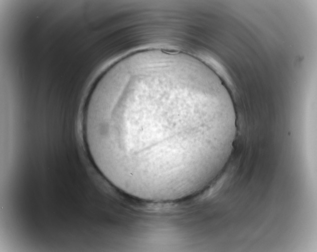 X0000088040952200706011321