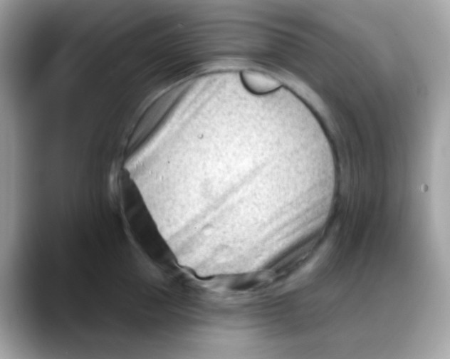 X0000088040953200706011321