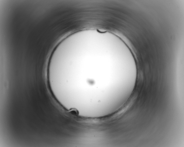 X0000088040957200706011321