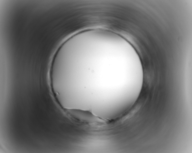 X0000088040959200706011321