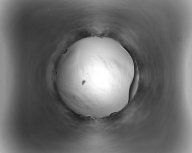 X0000088040961200706011321