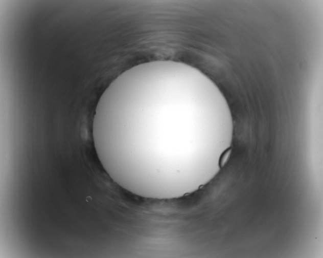 X0000088040962200706011321