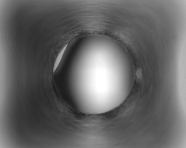 X0000088040963200706011321