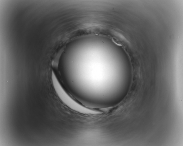 X0000088040965200706011321