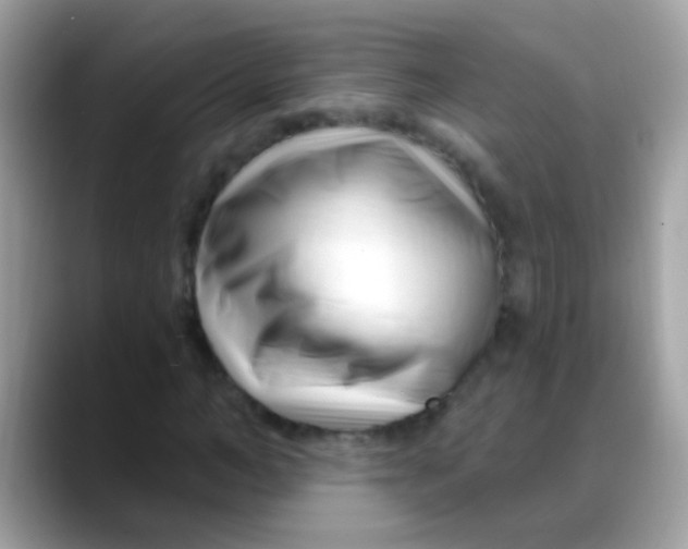 X0000088040966200706011321