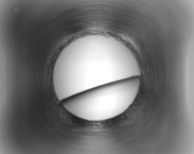 X0000088040968200706011321