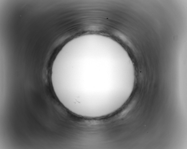 X0000088040970200706011321