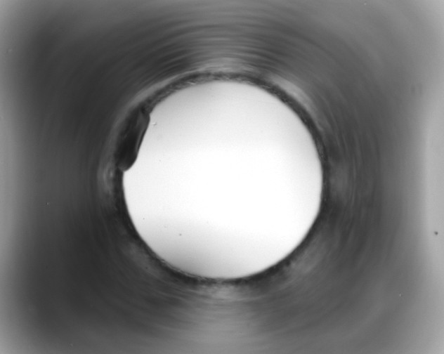 X0000088040971200706011321