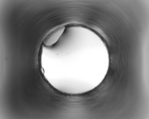 X0000088040972200706011321