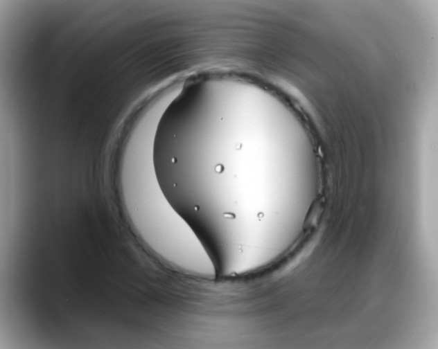 X0000088040973200706011321