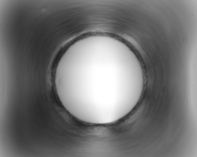 X0000088040974200706011321