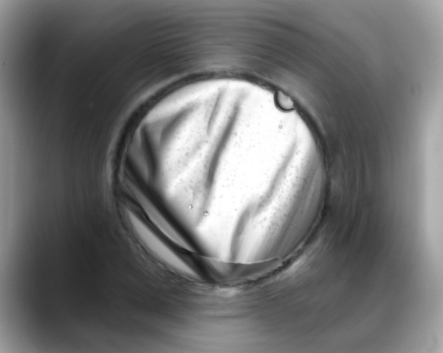 X0000088040975200706011321