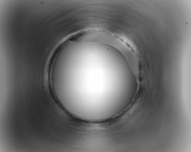 X0000088040976200706011321