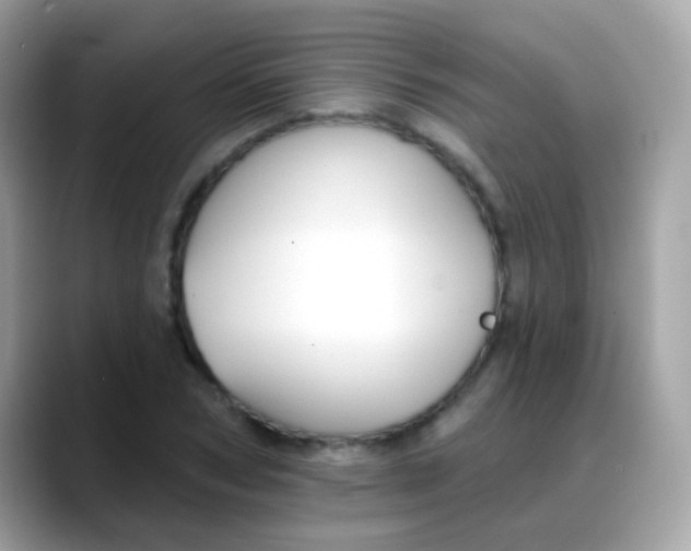 X0000088040978200706011321