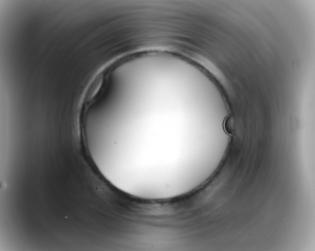 X0000088040980200706011321