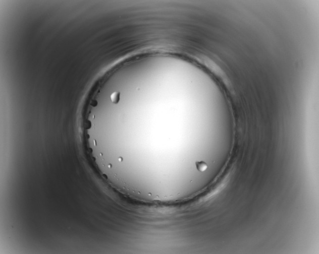 X0000088040981200706011321