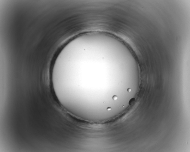 X0000088040982200706011321