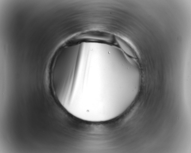 X0000088040983200706011321