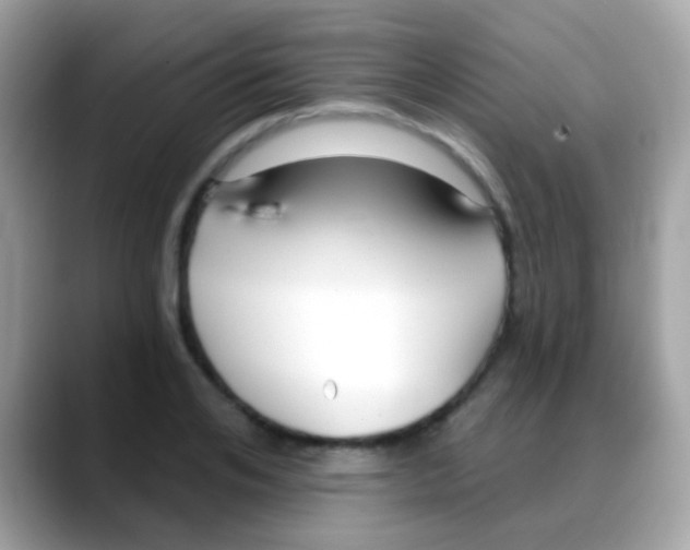 X0000088040984200706011321