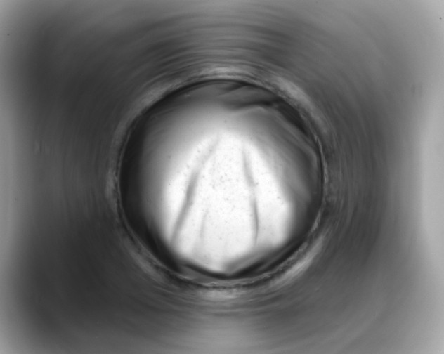 X0000088040985200706011321