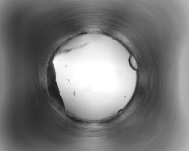 X0000088040986200706011321