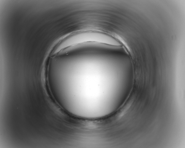 X0000088040987200706011321