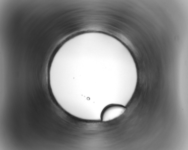 X0000088040988200706011321