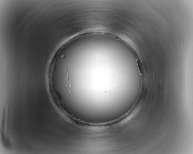 X0000088040989200706011321