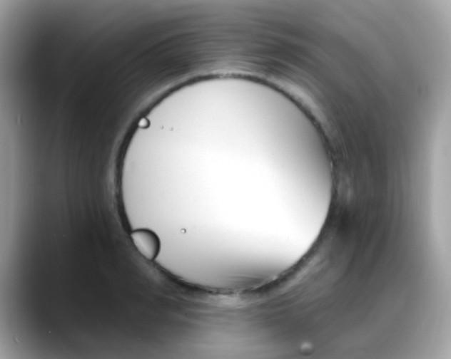 X0000088040990200706011321