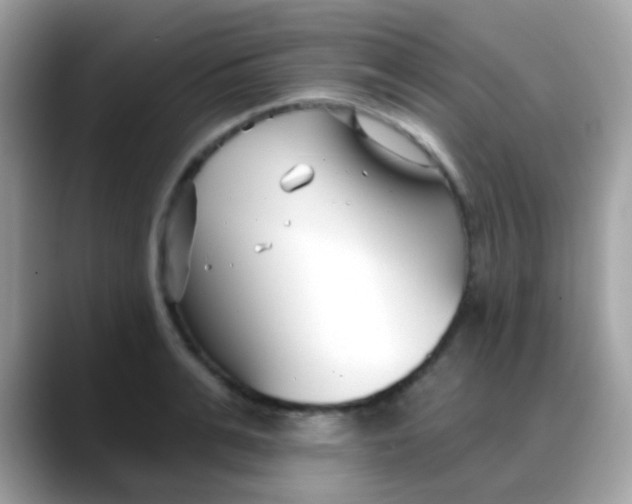 X0000088040991200706011321