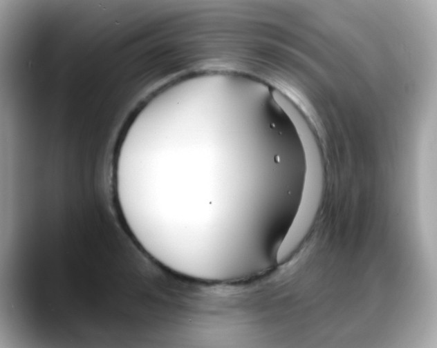 X0000088040992200706011321