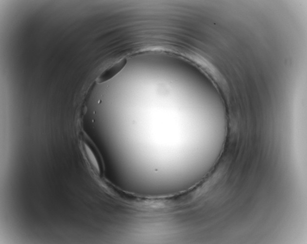 X0000088040993200706011321