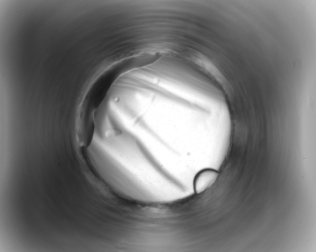 X0000088040994200706011321