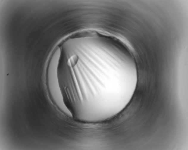 X0000088040996200706011321